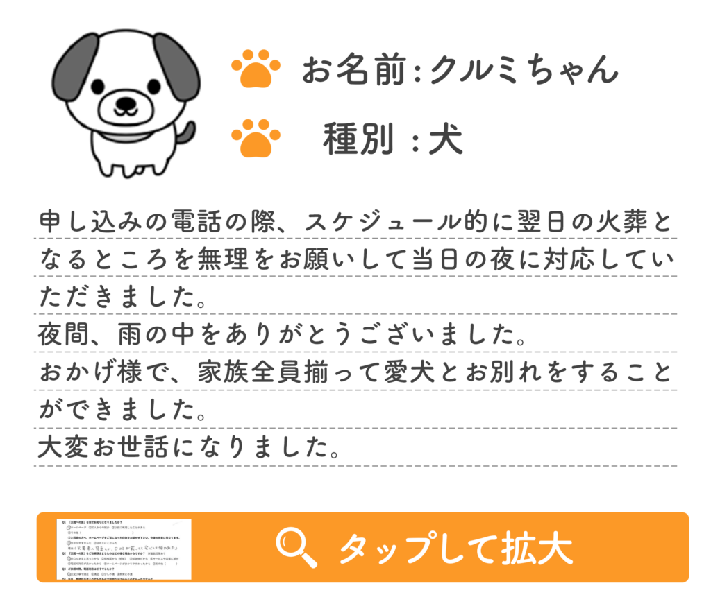 お客様のお声（くるみちゃん）